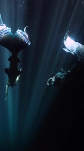 There was a magic here left in the dark 🖤 tails and outfits by Merbella Studios Inc. 🧜‍♀️ #mermaids #sirens #sirencore #mermaidcore | Mermaid Sirenity