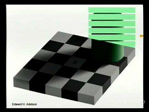 The Psychological Basis for UI Design Rules