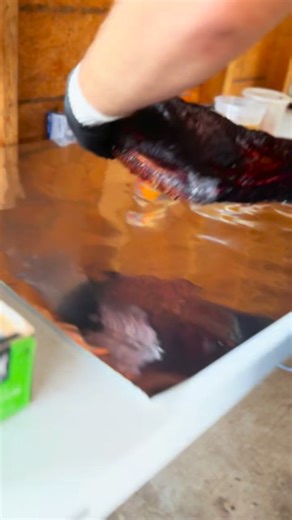 7.2K views · 67 reactions |  REAL BBQ. REAL MEAT.  At Wright’s Meat...