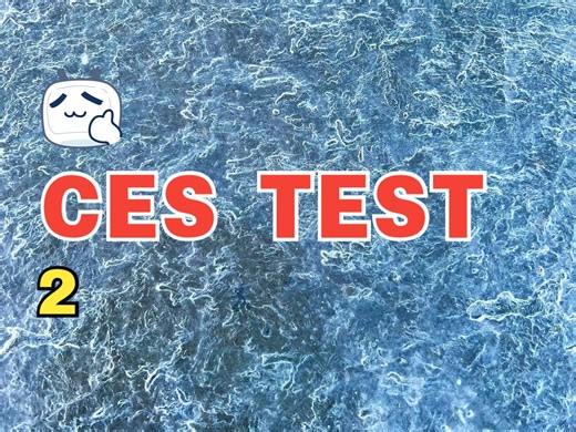 CES TEST2