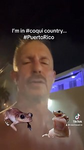 40 reactions · 7 comments | I’m in Coqui country in Puerto Rico and these tiny little frogs punch way above their weight. Just like us. Just like you. Just like Puerto Rico. Keep it up. #puertorico #coqui #sanjuanpuertorico | Raw Travel | Facebook