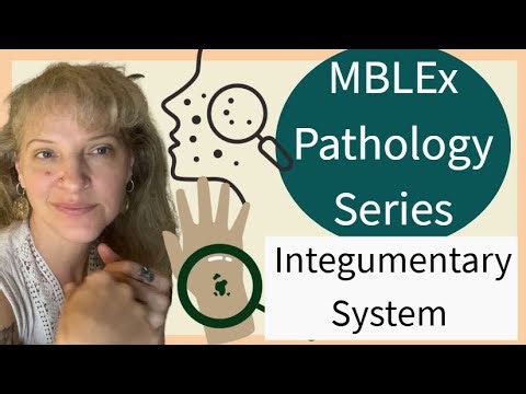 Integumentary Pathologies for the MBLEx | Skin Conditions, Contraindications, & Client Scenarios