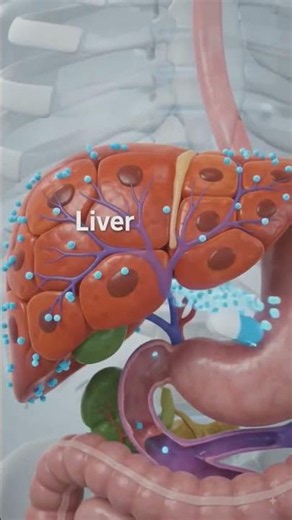 First Pass Metabolism I Animation #animation #pharmacology