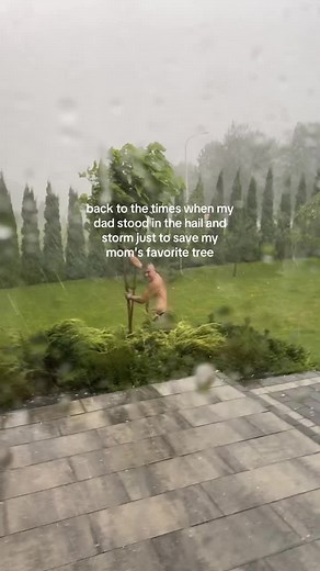 Dad's Hail and Storm Rescue for Mom's Favorite Tree
