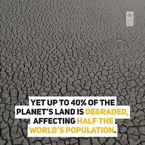 40% of the 's land is degraded affecting half the world’s population. Land degradation and desertification impoverish countries, communities and people. Restoring degraded lands allows us to act on both an ecological sustainable development path and address #ClimateChange, biodiversity loss and improve livelihoods. More on today's World Day to Combat Desertification and Drought at: https://lnkd.in/geSWjvem #UNited4Land #NoDroughtland | UNDP Careers | Facebook