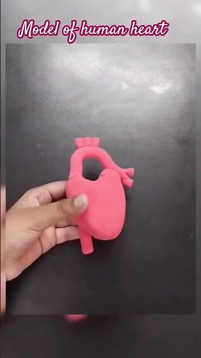 Human heart model || Heart Model 3D || School Science project || How to make a clay model Heart
