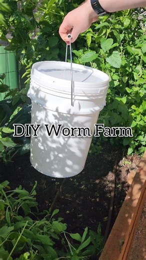 19K views · 249 reactions | Let's build a worm farm together 癩缾...