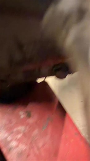 Any air locker experts? Is this leak installation error or manufacture error? Slow bubbles coming from the carrier split, under normal use it leaks constantly and doesn’t lock up. | Charles Carriss