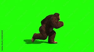 Bigfoot Sighting Run Loop Green Screen 3D Rendering Animation Stock Video