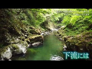 せせらぎと夏の音と…仙見川渓谷の夏 新潟・五泉市