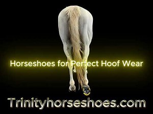 Trinity Horseshoes Obliterating Tradition