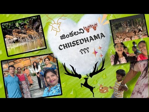 DAY-2 in (Deer park🦌)॥family॥trip॥forest॥Amulya Reddy॥#trip #resort #aranyaresort