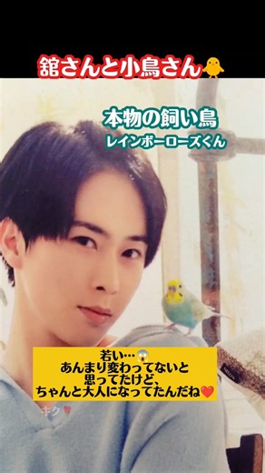 舘さんと小鳥さん🐤【Snow Man】【宮舘涼太】 2026.4.8 #snowman #スノーマン #舘様 #宮舘涼太 #レインボーローズ