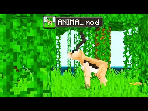 Download LINK ~ ANIMAL Mod for Minecraft PE 1.21