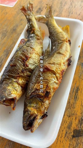 秋に食べたい、黄金に輝く鮎。道の駅 和良で楽しめる「和良鮎の塩焼き」— 🗾岐阜県郡上市和良町宮地１１５５🐟鮎の塩焼きは10/4、10/11、10/25販売予定—#道の駅 #鮎の塩焼き #郡上