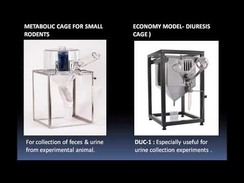 Metabolic cage, Rat metabolic cage, Mouse metabolic cage