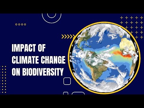 The Impact of climate change on biodiversity