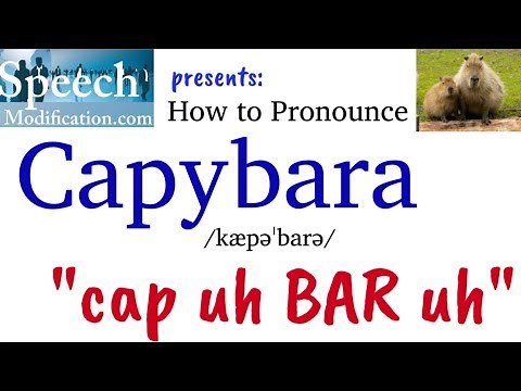 How to Pronounce Capybara