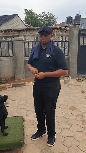 Training Your Dog to Stand Stay Command