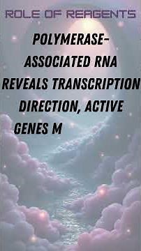 NET-seq (Native Elongating Transcript Sequencing)