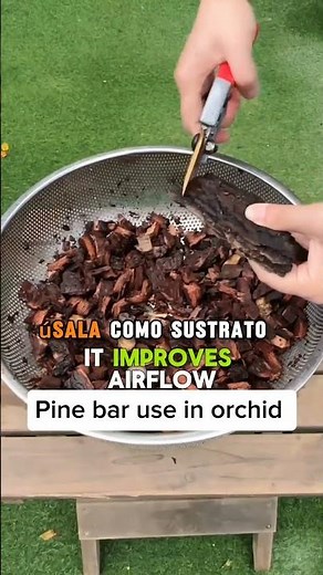 Pine Bark for Orchids #shorts #plants