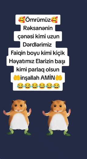 Cheerful Hamsters Dance Animation