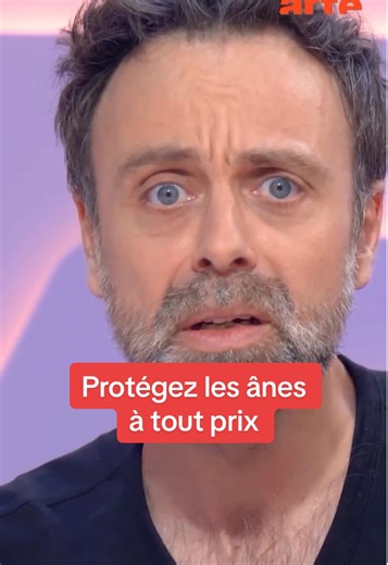 Vous avez peut-être déjà vu un âne alphabète, peut-être même un âne atomique, mais avez-vous déjà vu @David Castello-Lopes tomber amoureux des ânes du salon de l'agriculture ? #sinformersurtiktok #ane #shrek #Salondelagriculture