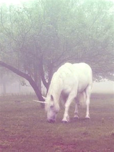 #JOKE #satire #roblox #brookhaven #sad | Roblox