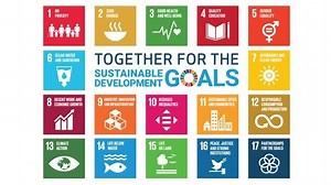 Welcome to the Sustainable Development Summit - on Radio Davos