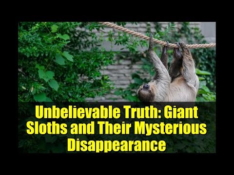 Unbelievable Truth: Giant Sloths and Their Mysterious Disappearance