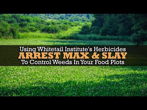 Using Whitetail Institute's Herbicides Arrest Max and Slay To Control Weeds In Your Food Plots