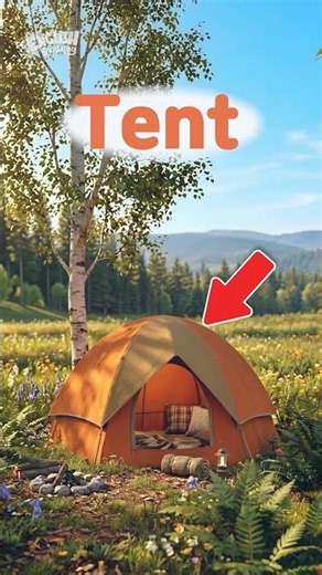 Do you know words beginning with T? 🐯⛺🪀