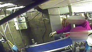 Undercover: inside a UK non-stun slaughterhouse