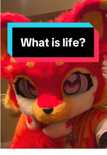 Questions that need answers.. specially on the dinner part #furry #cat #furrytok #appletini #fyp