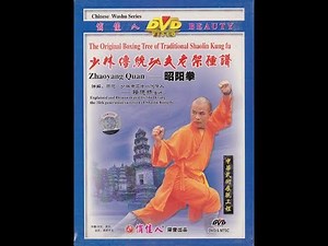 Shaolin Sunny Kung Fu (zhao yang quan)