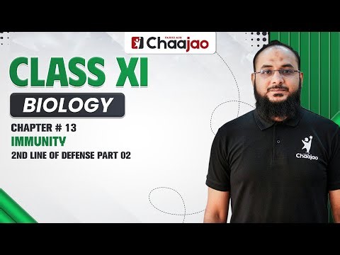 2nd Line of Defense Part 02