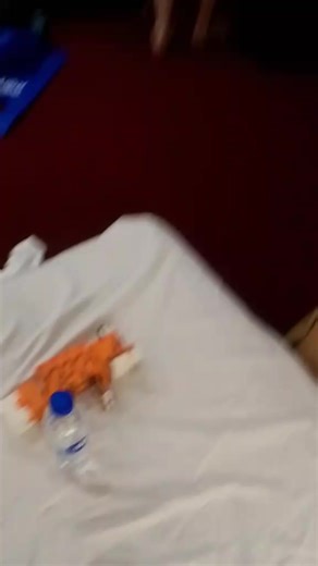 Lego Minecraft fox review