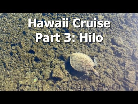 Hawaii Cruise 2026 - Ruby Princess - Part 3 - Hilo, Hawaii