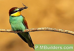 Hur Man Installerar En In-Ground Pool Slide 🔧🔧 Tips För Hem Förbättring. Gör Dina Egna Händer - 2025