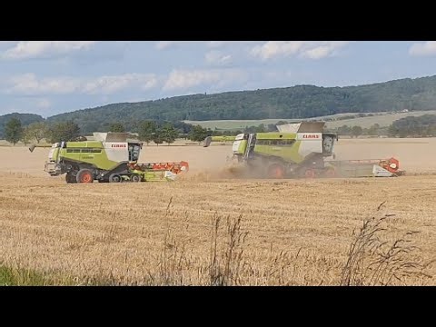 Ernte 2025 - Weizen | 4 Claas Lexion & 2 Case Quadtrac | Uncut, Raw Sound