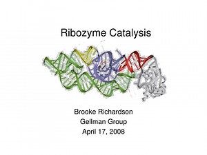 Ribozyme Catalysis - SlideServe