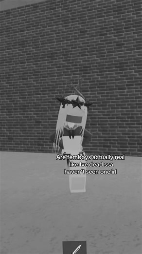 Exploring the Femboy Culture in Roblox