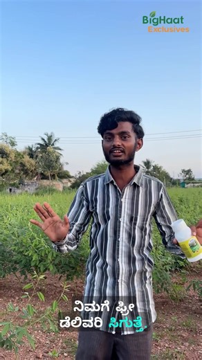 Watch how TL Turbo (Thiamethoxam 12.6% Lambda Cyhalothrin 9.5% ZC) helped Farmer control pests & boost yield like never before! 🔥 Click the below link to place your order: (https://www.bighaat.com/products/tl-turbo-insecticides?utm_source=Influencer Video&utm_medium=M…) #TLTurbo #InsecticideZC #CropProtection #BigHaat #FarmersFirst #PestControl #SmartFarming #AgriSolutions #PlantHealth #YieldBoost | BigHaat India