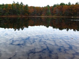 Senior Apartments for Rent in 01810, Andover, MA