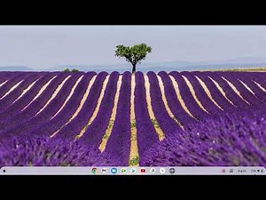 Lenovo Flex 5 Chromebook : How to fix the Escape key on the keyboard is not working issue
