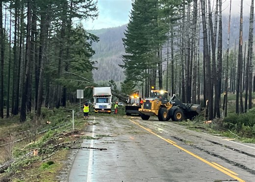 Downed trees, power outages abound as PNW recovers from intense storm