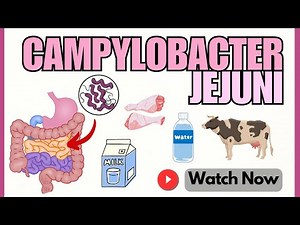 Campylobacter jejuni: Insights into Pathogenesis & Virulence Factors | Microbiology 101 Animation