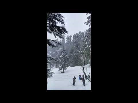 Myon Kashmir – Original Kashmiri Song #kashmiri #song