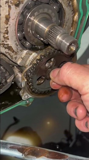 11 de novembro de 2025