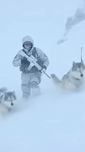 The Ghost of the North ​They call them the Arctic Ghosts—shadows in a world of white. Where the wind screams and the air burns, loyalty is the only thing that doesn’t freeze. A silent sentinel guarding the edge of freedom for us. Stand with the brave. 🇺🇸🐺 | Snouts of America